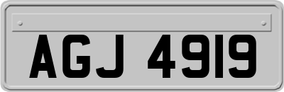 AGJ4919