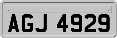 AGJ4929