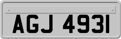 AGJ4931