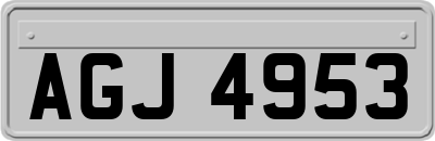 AGJ4953
