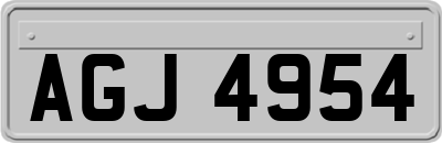 AGJ4954