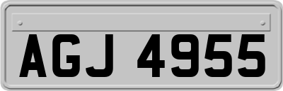 AGJ4955
