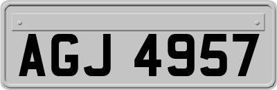 AGJ4957