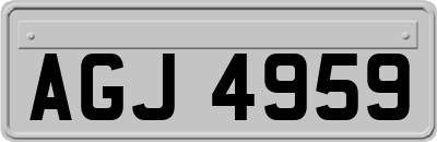 AGJ4959