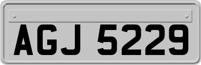 AGJ5229