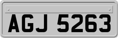 AGJ5263