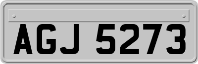 AGJ5273