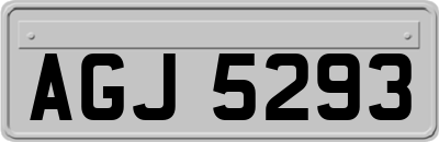 AGJ5293