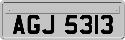 AGJ5313