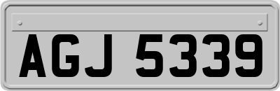 AGJ5339