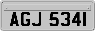 AGJ5341