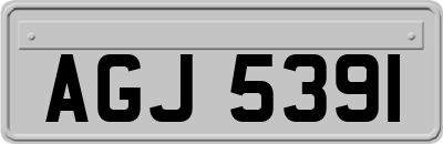 AGJ5391