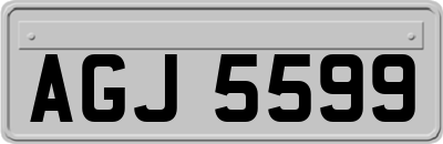 AGJ5599