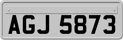 AGJ5873