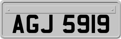 AGJ5919