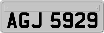 AGJ5929