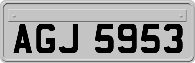 AGJ5953