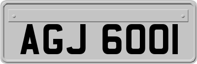 AGJ6001