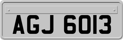AGJ6013