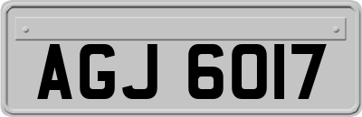 AGJ6017