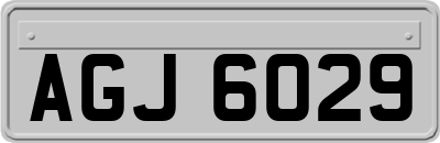 AGJ6029