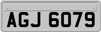 AGJ6079