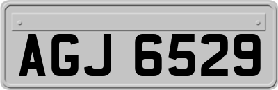 AGJ6529