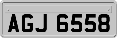 AGJ6558