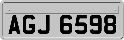 AGJ6598