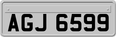 AGJ6599
