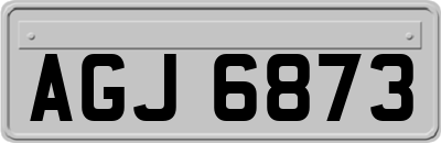 AGJ6873
