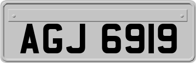 AGJ6919