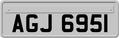 AGJ6951