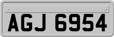 AGJ6954