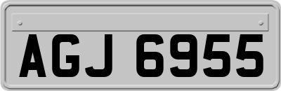 AGJ6955