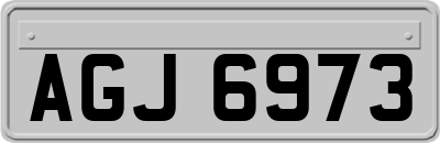 AGJ6973