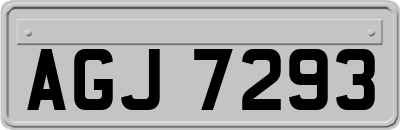 AGJ7293