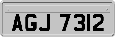 AGJ7312
