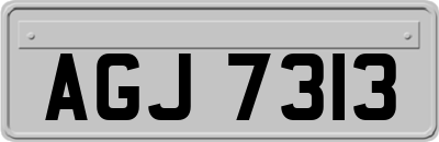 AGJ7313