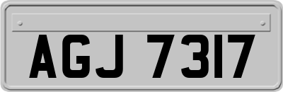 AGJ7317