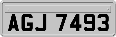 AGJ7493