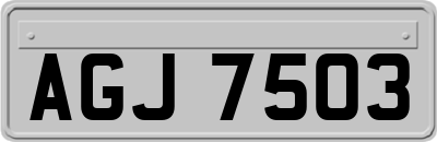 AGJ7503