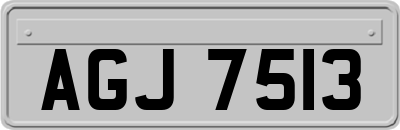 AGJ7513