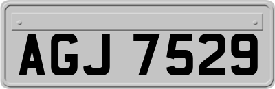 AGJ7529