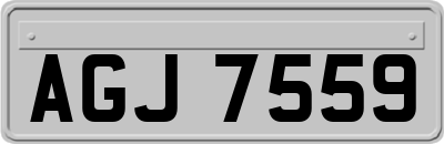 AGJ7559