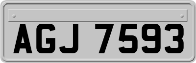 AGJ7593