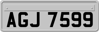 AGJ7599