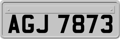 AGJ7873