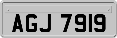 AGJ7919