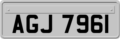 AGJ7961